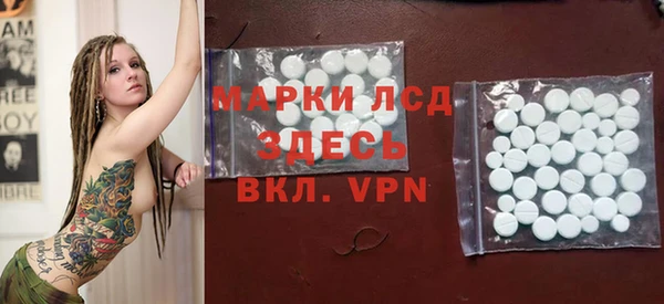спиды Гусев