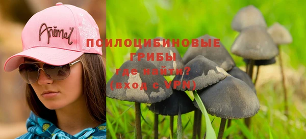 прущие крисы Елабуга