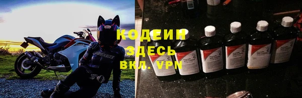 спиды Гусев