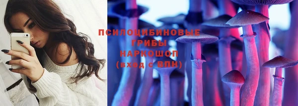 спиды Гусев