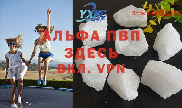 спиды Гусев