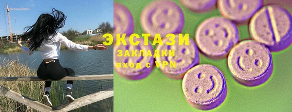 скорость Ельня