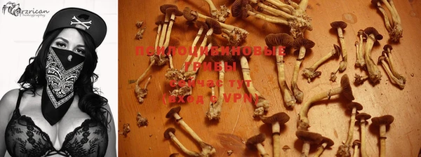 МДПВ Гусь-Хрустальный