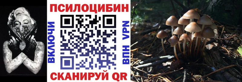 Галлюциногенные грибы мухоморы  Купить  Рассказово 